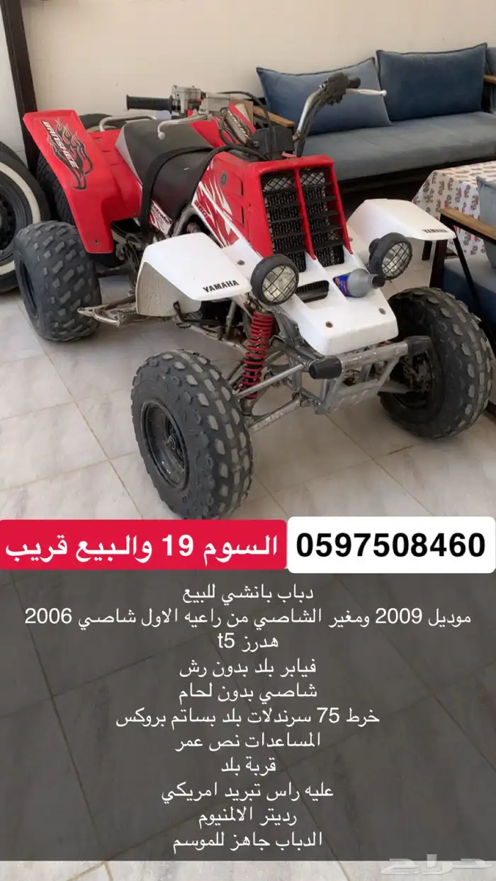 بانشي للبيع 0