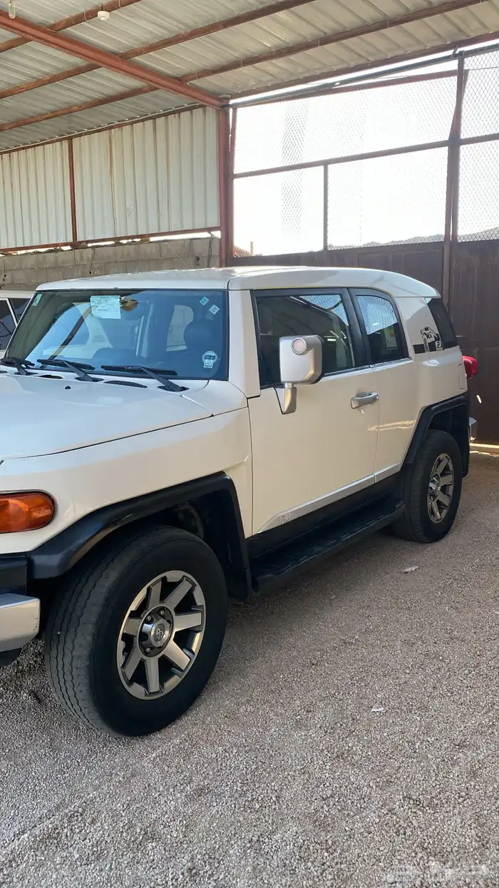 افجي السوم 42 1