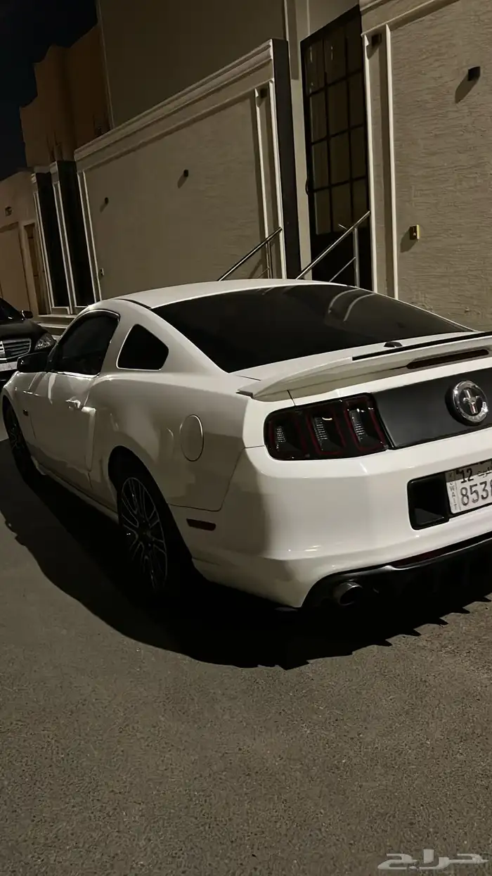 موستنق( لوحات كويتيه ) 1