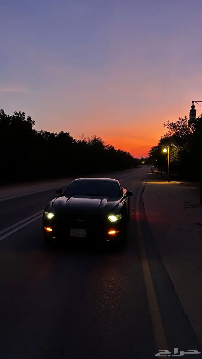 موستنق v8 2016 5