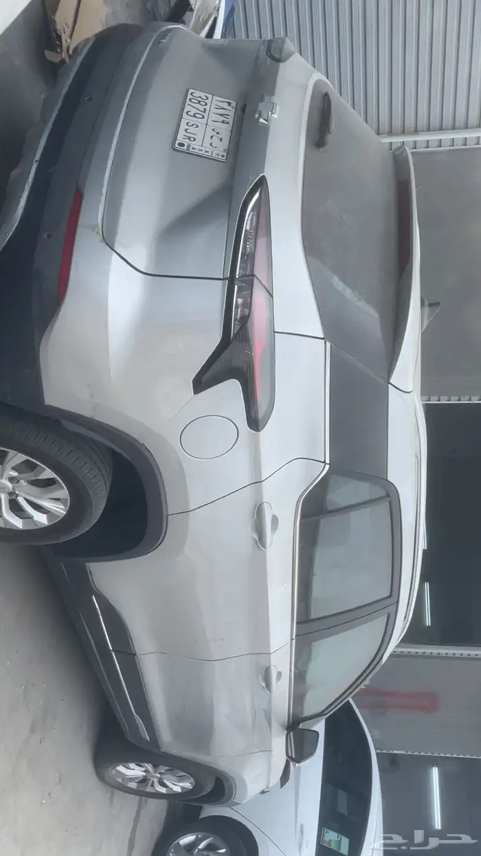 شفرلية قروف للبيع 0