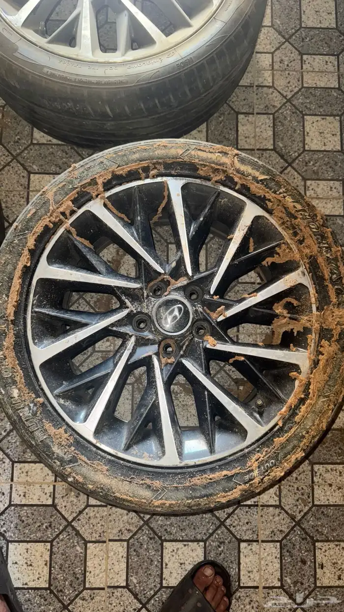 جنوط للبيع 2