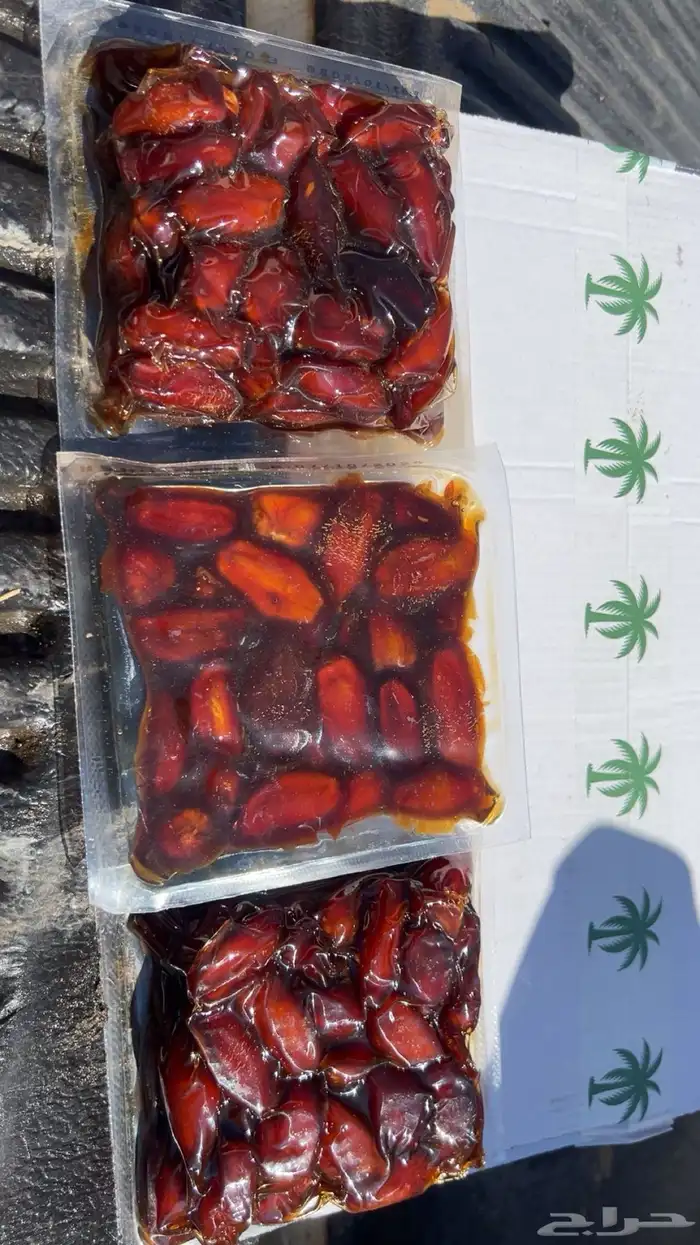 تمر صفري بيشه حشي السنه ذي 1