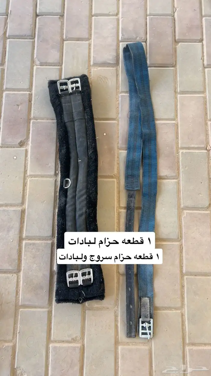 مسلتزمات خيل 4