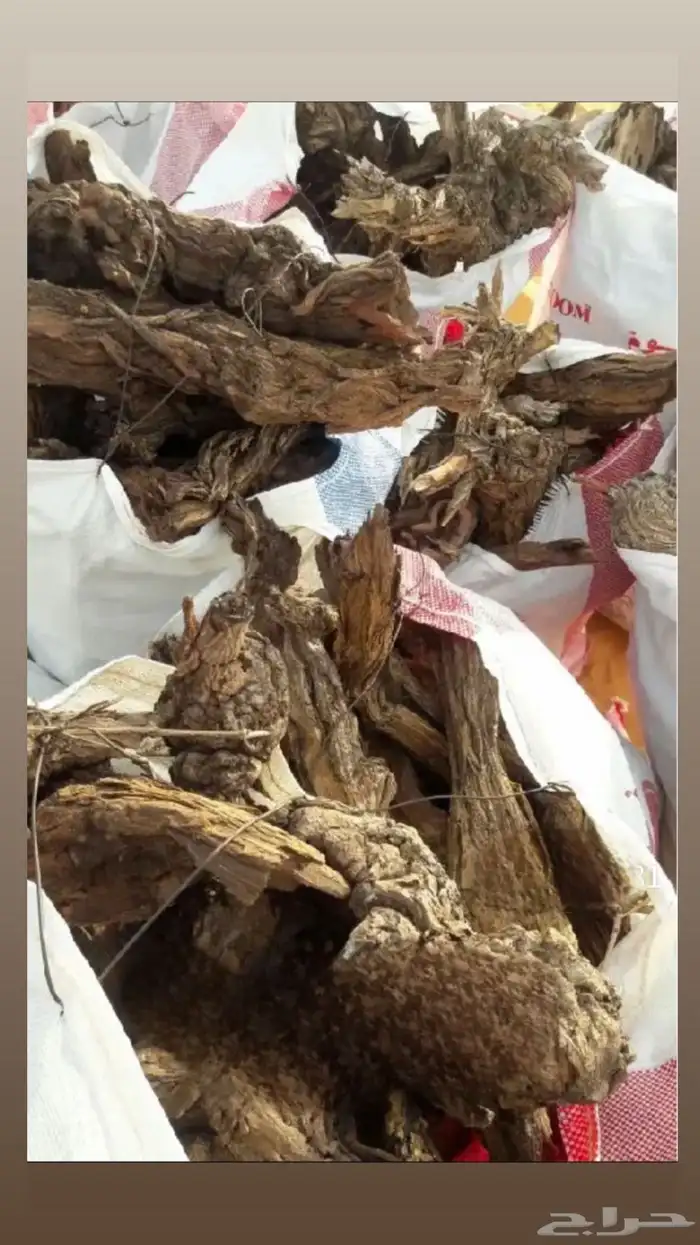 خياش يابسه وجروم 0