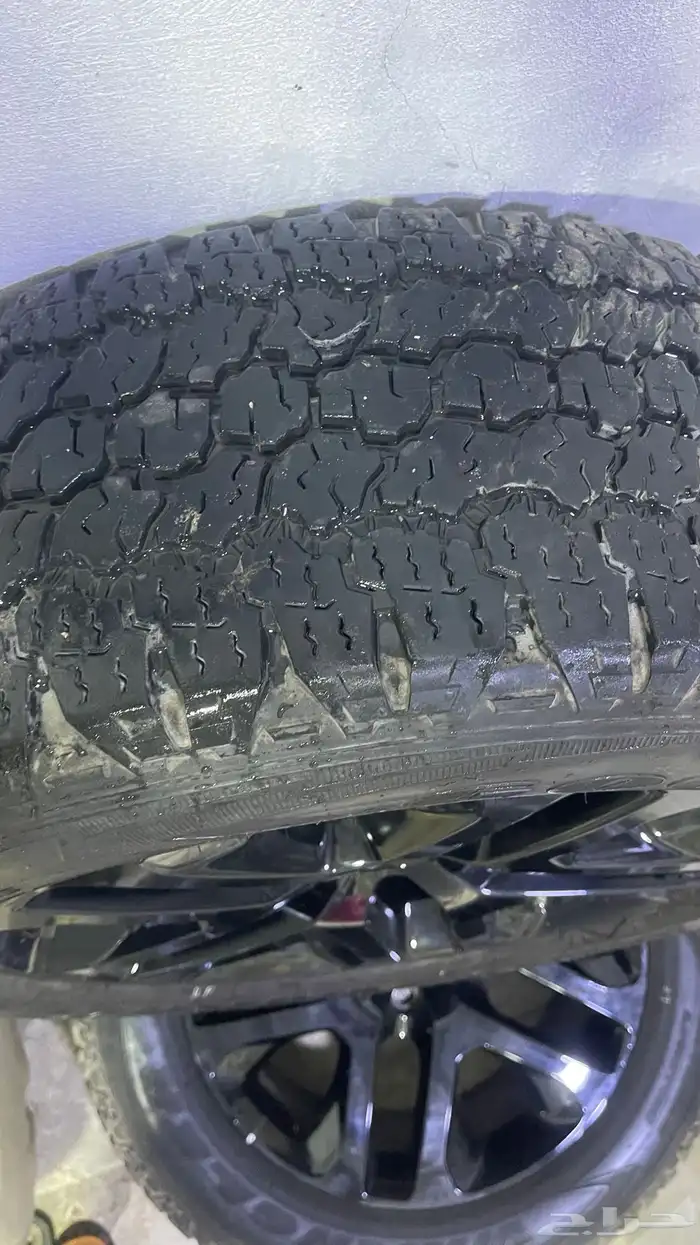 جنوط و تواير د ندر 2024 1