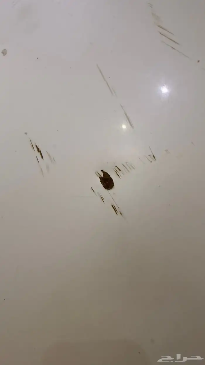 كبوت اوريون 4