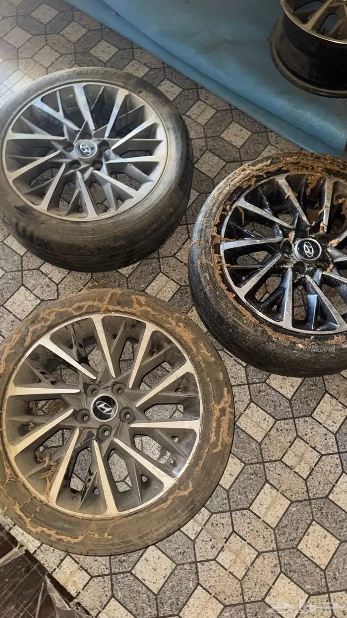 جنوط للبيع 0