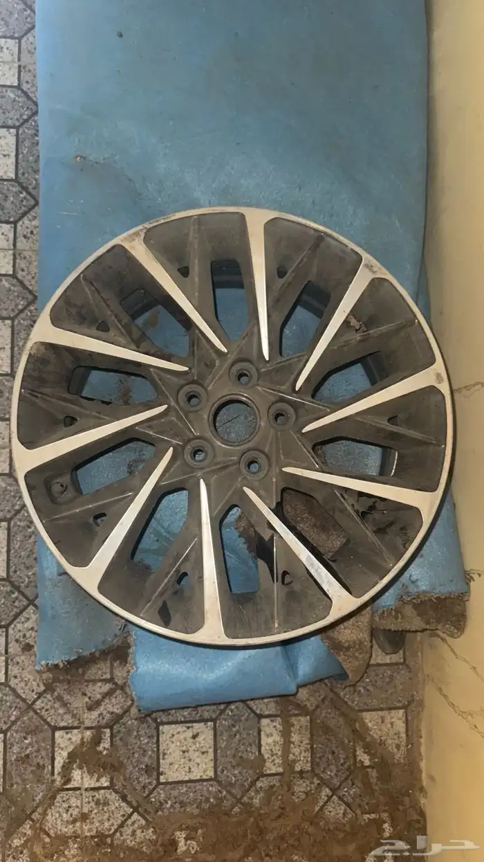 جنوط للبيع 3