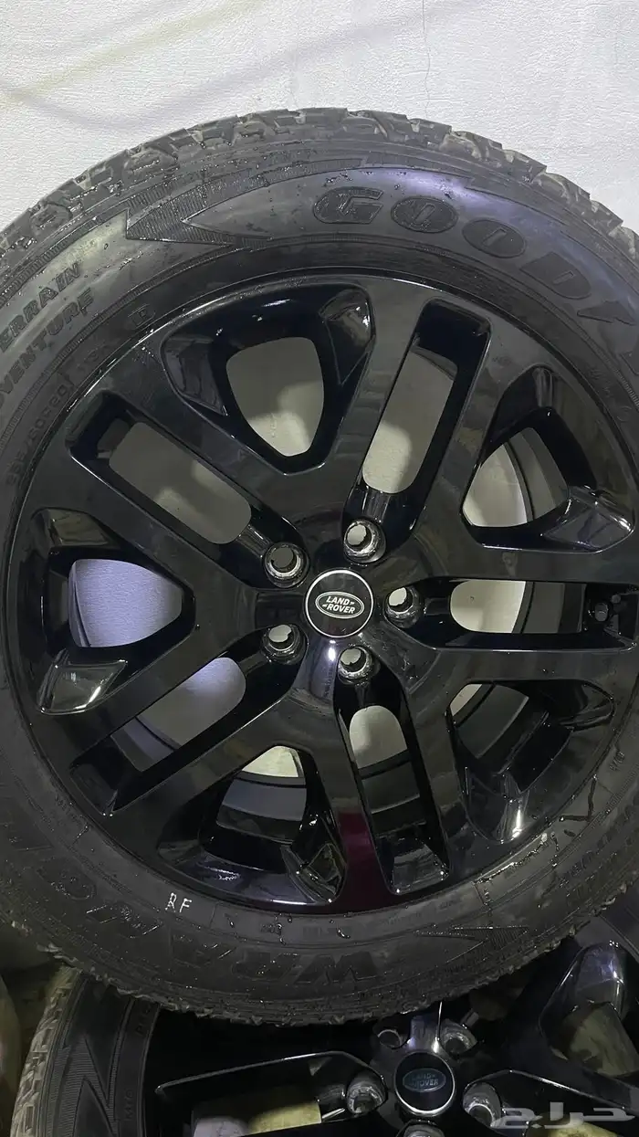 جنوط و تواير د ندر 2024 3