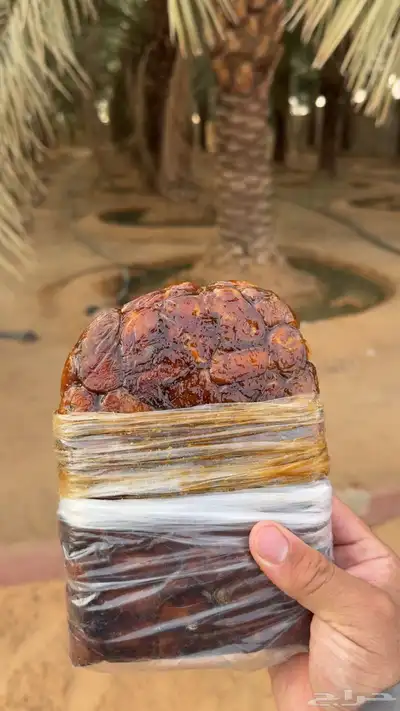 تمور القصيم ( شقراء - سكرية حمراء - ونانه - خلاص ) index