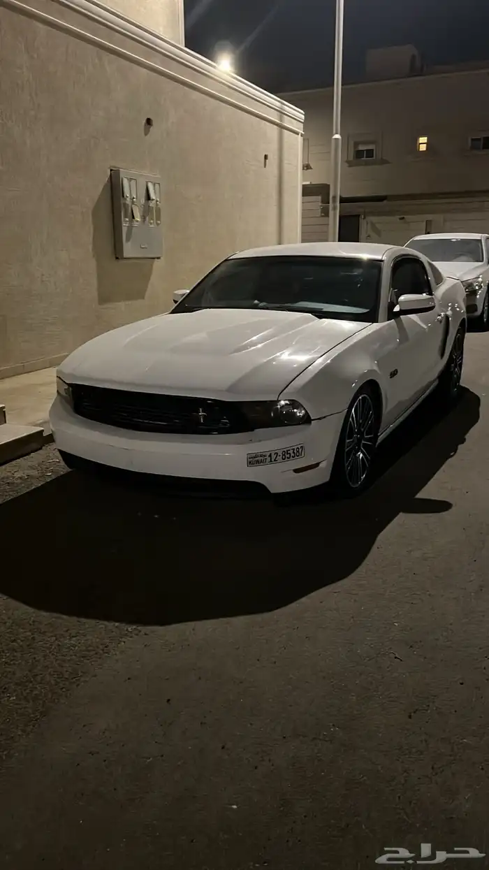 موستنق( لوحات كويتيه ) 0