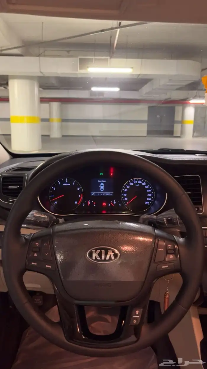 كادينزا 2016 وكاله 7