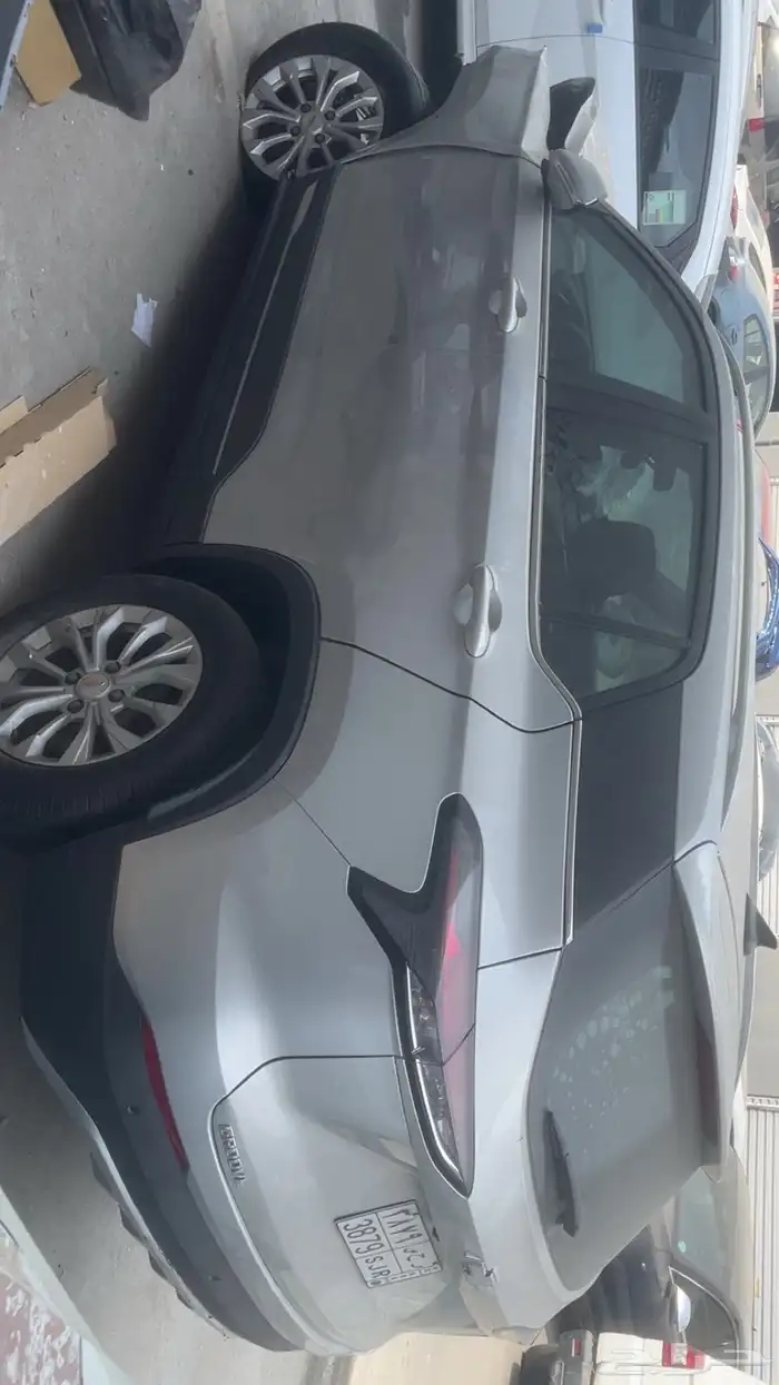 شفرلية قروف للبيع 2