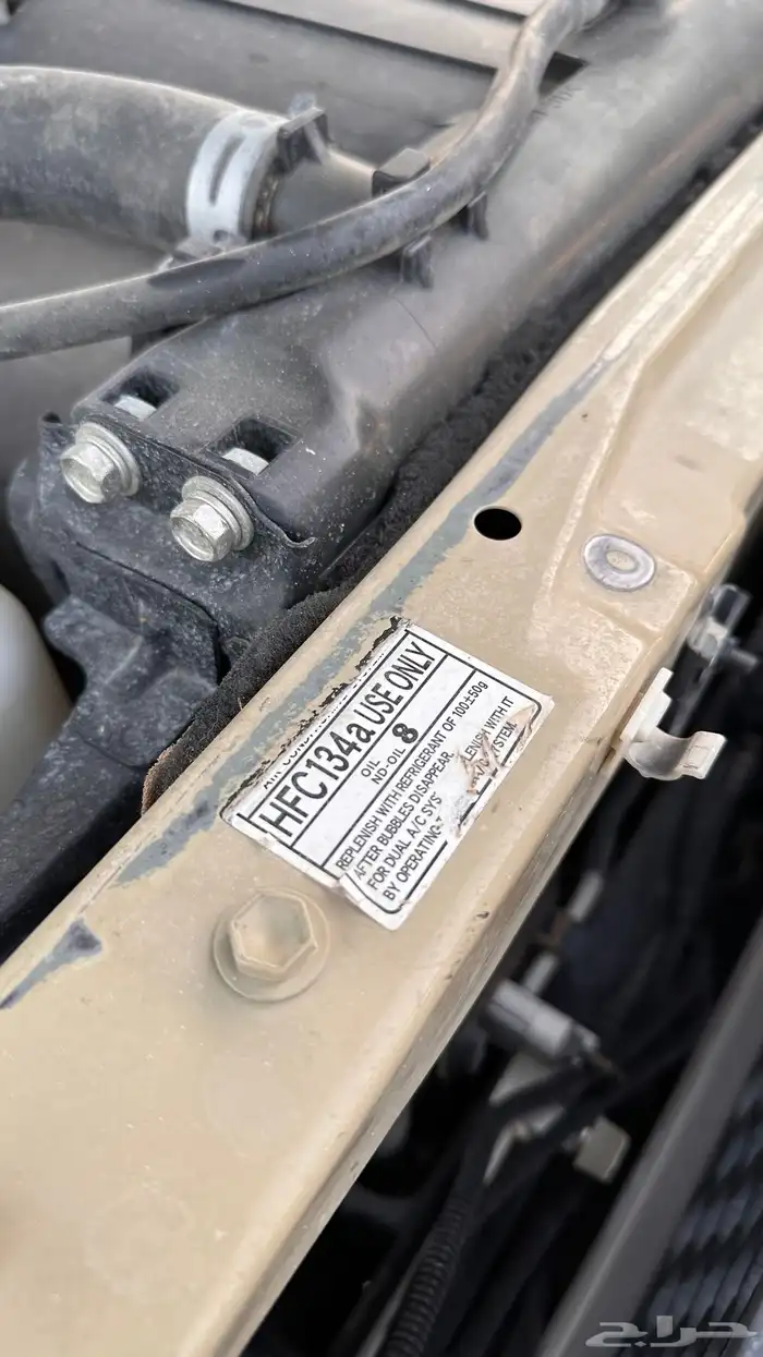 شاص للبيع 20