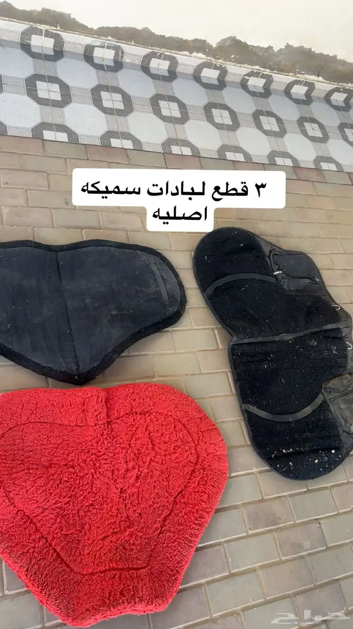 مسلتزمات خيل 5