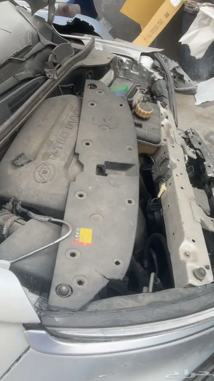 شفرلية قروف للبيع 11