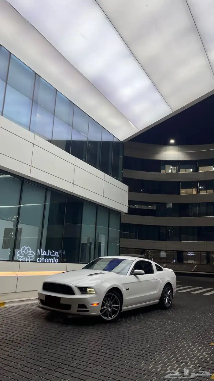 للبيع موستنج 2014 6