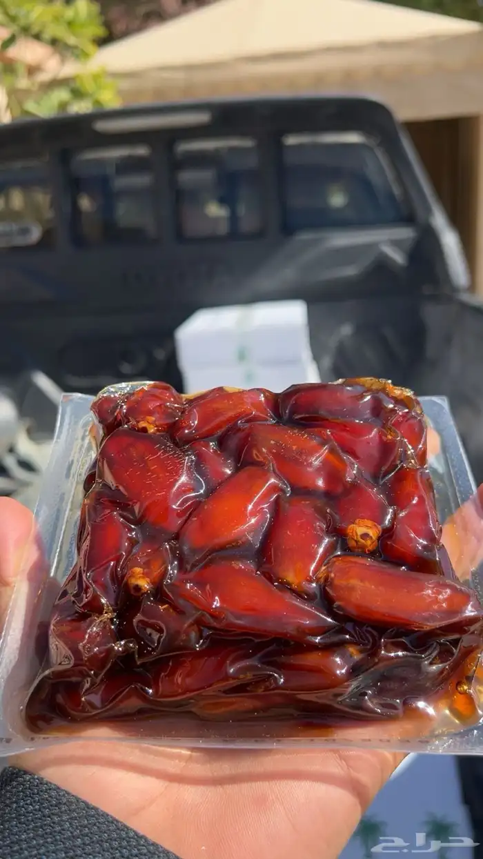 تمر صفري بيشه حشي السنه ذي 0