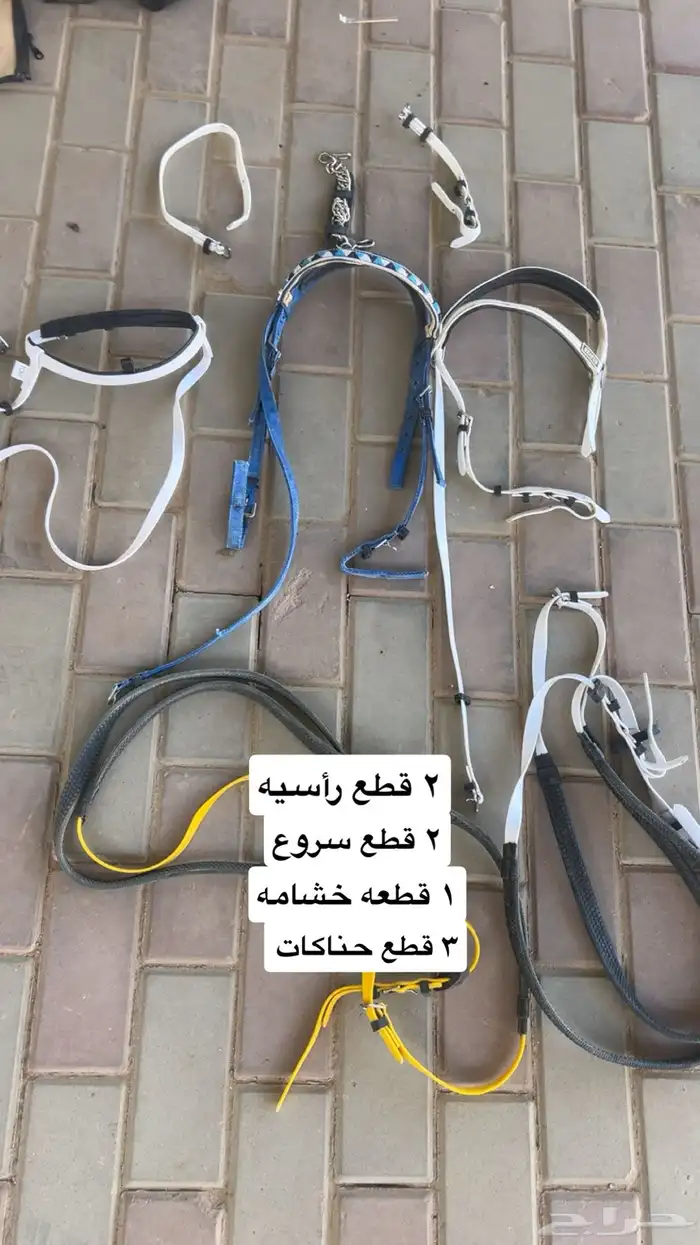 مسلتزمات خيل 3