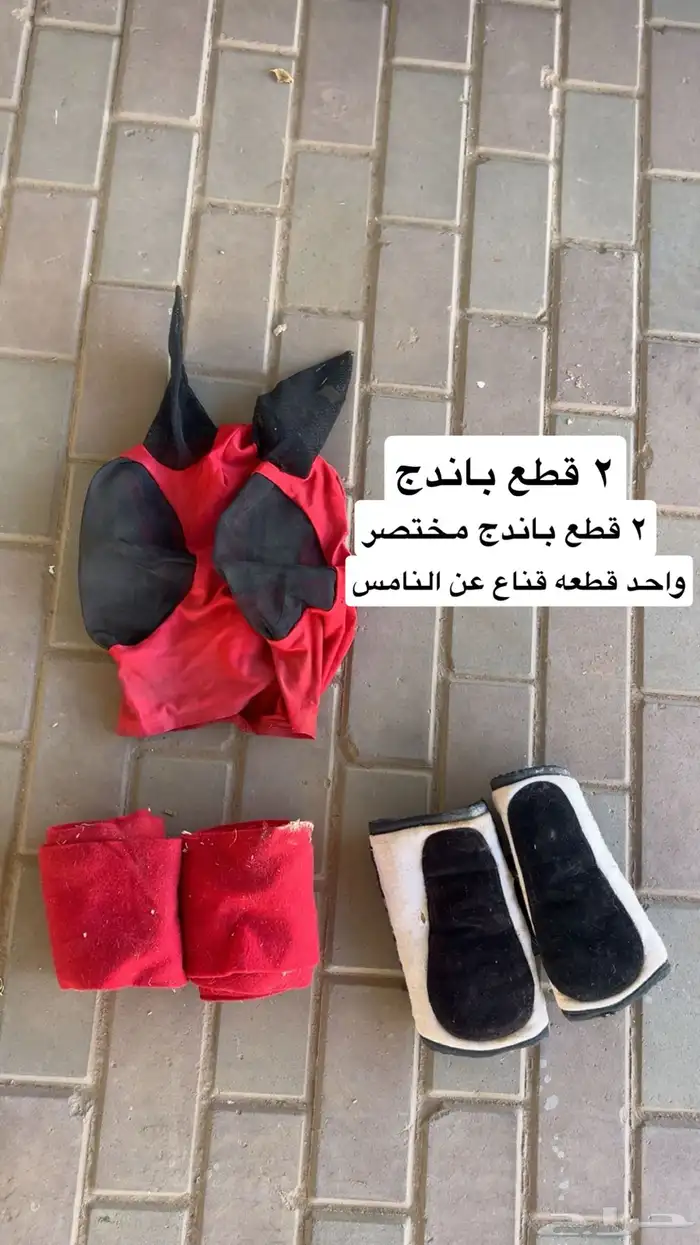 مسلتزمات خيل 7
