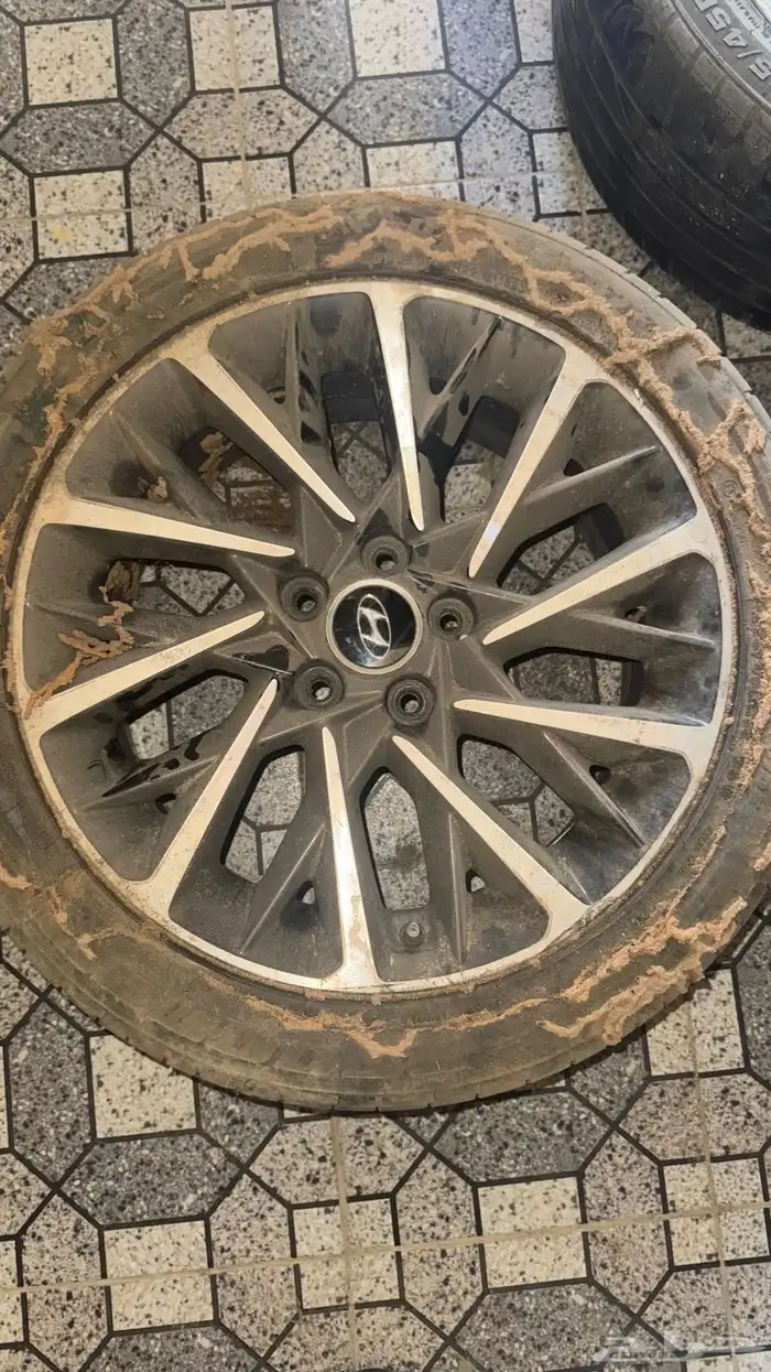 جنوط للبيع 1