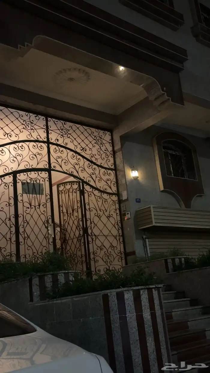 قطة ضايعة بجده حي النسيم العماير خلف شاورما اطلس عماره رقم 1