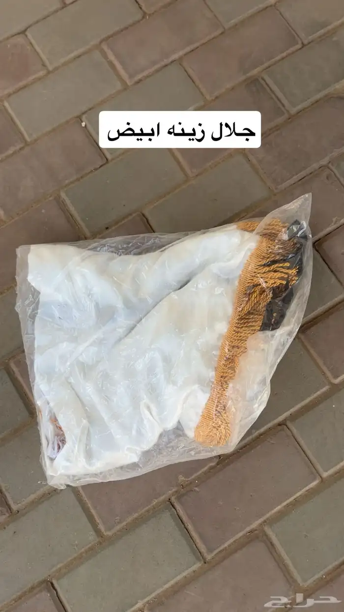 مسلتزمات خيل 6