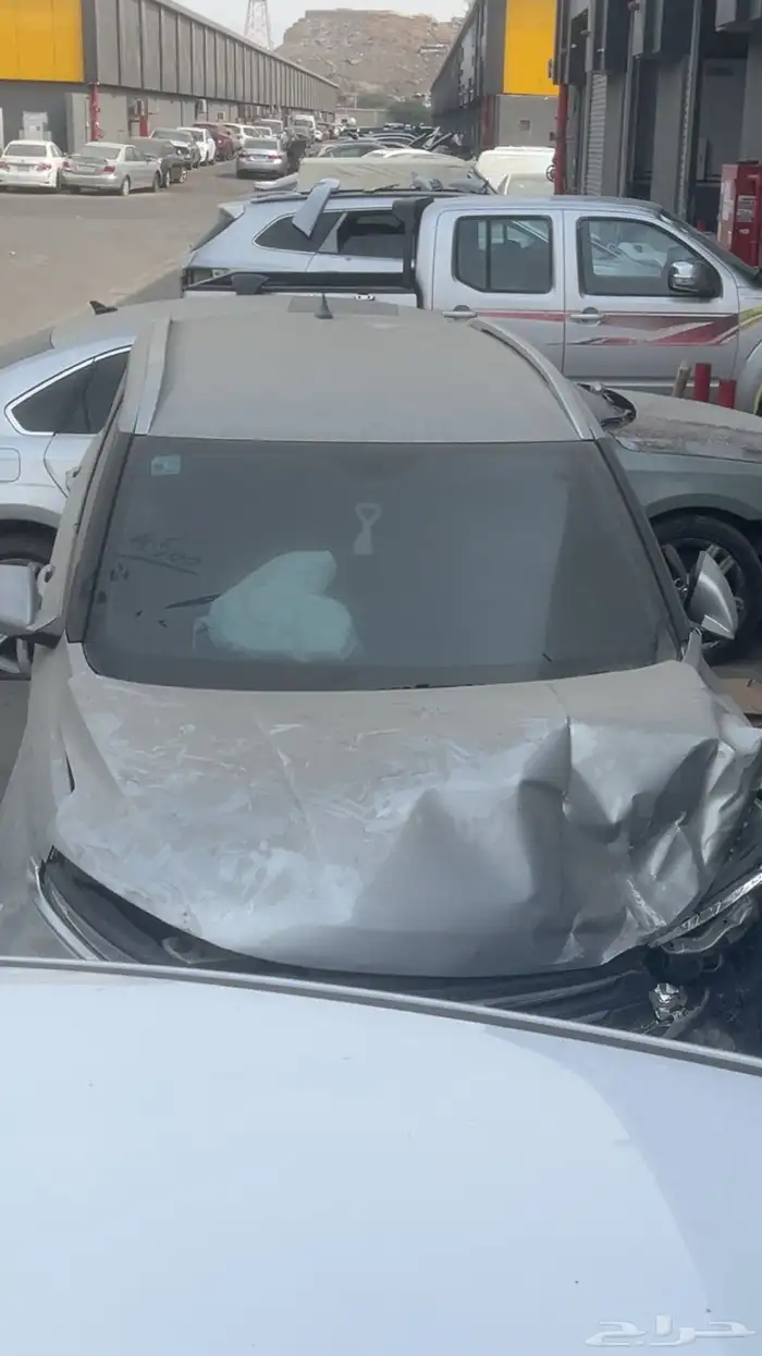 شفرلية قروف للبيع 10