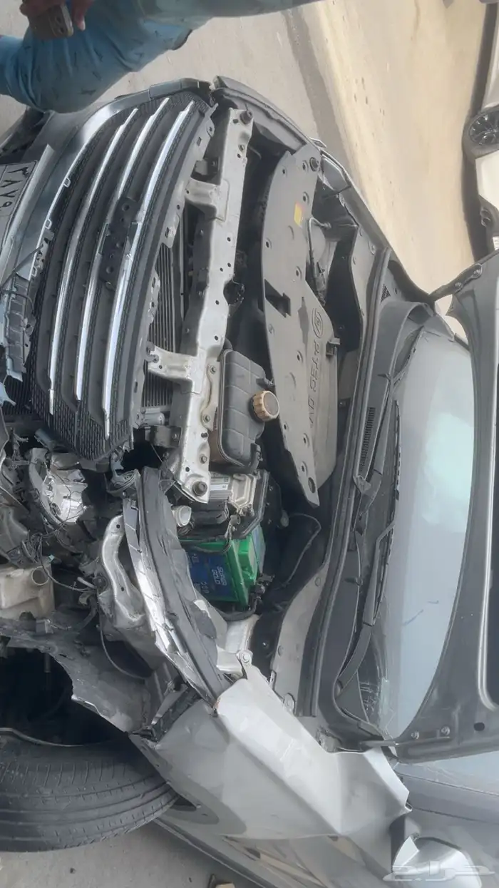 شفرلية قروف للبيع 14