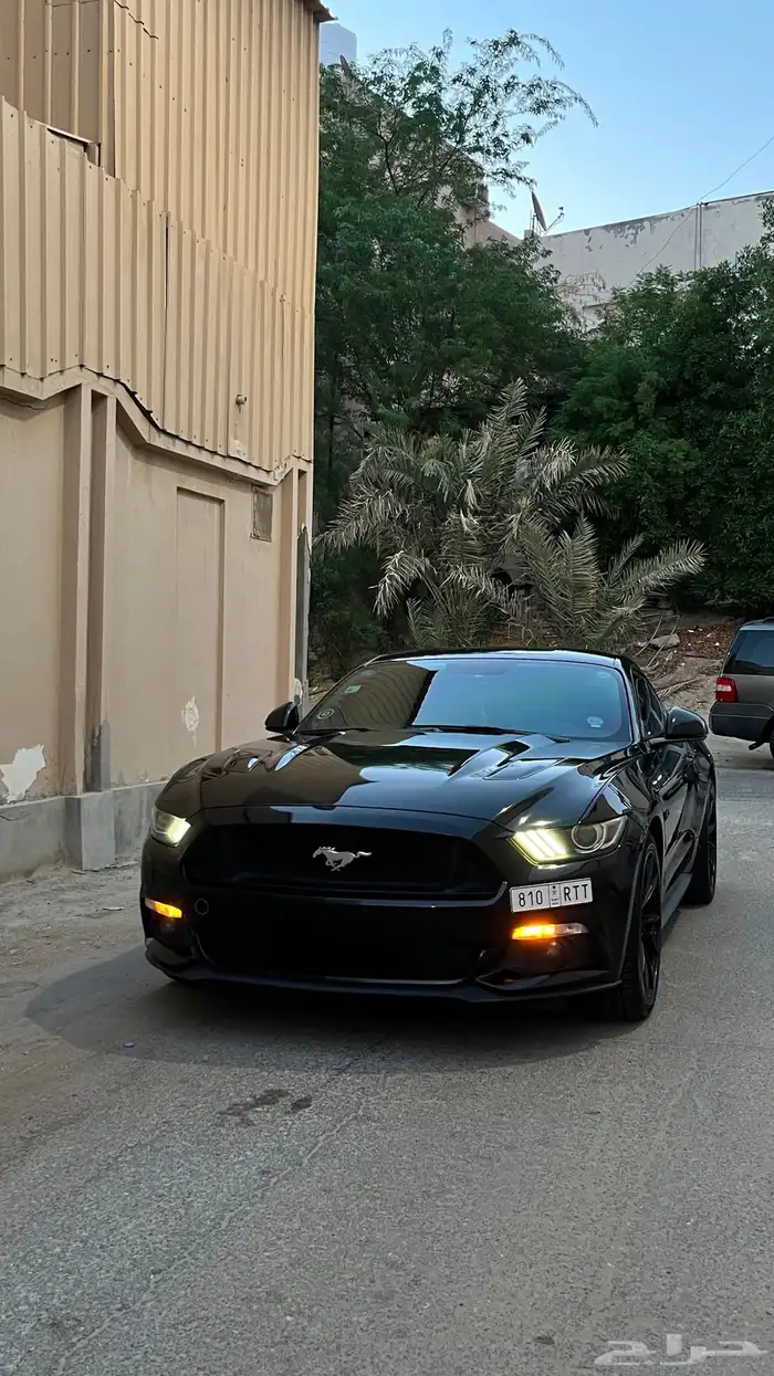 موستنق v8 2016 0