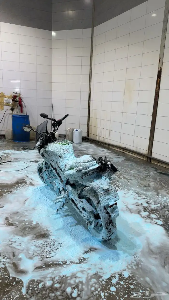 دباب بجاج دومينار 400 1