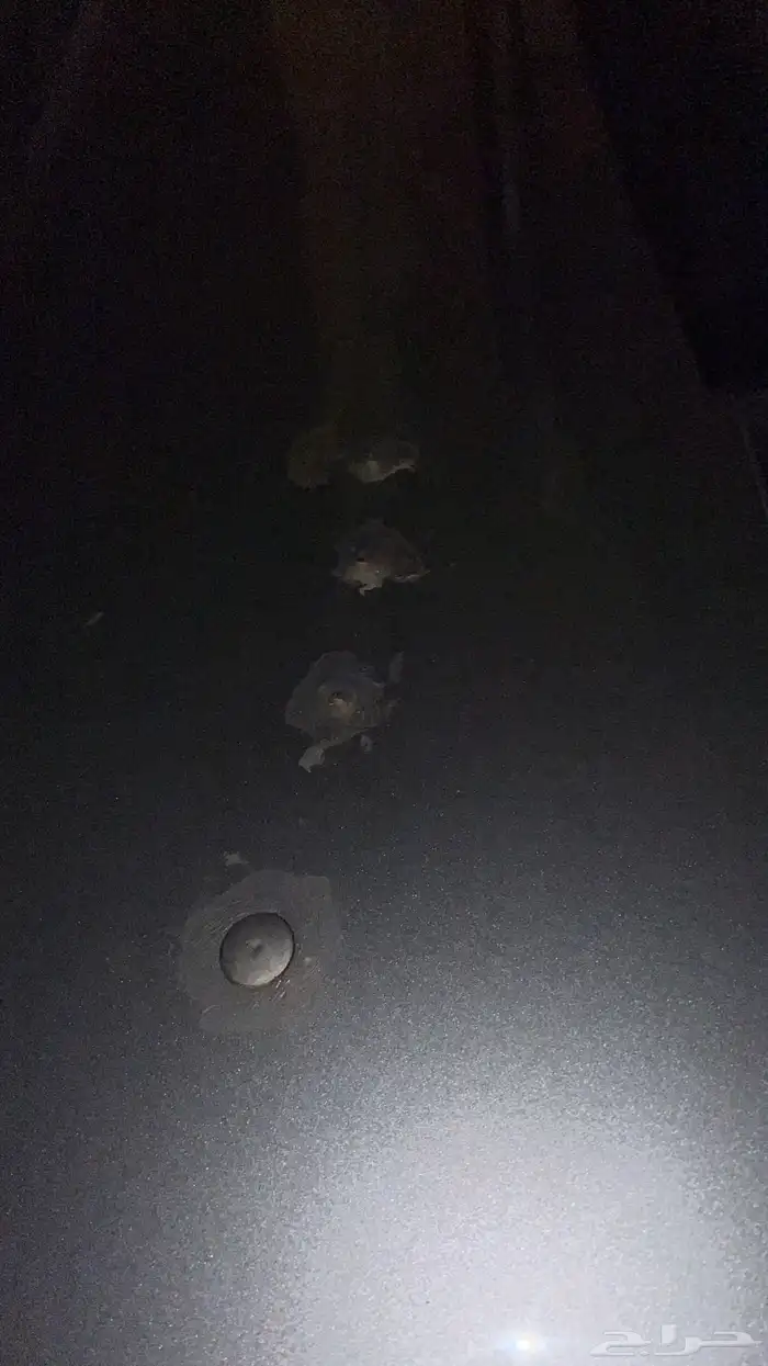 جمس نظيييف 13