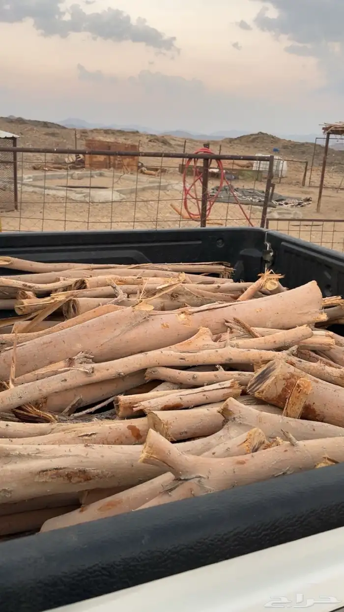 حطب مستورد سمر 2