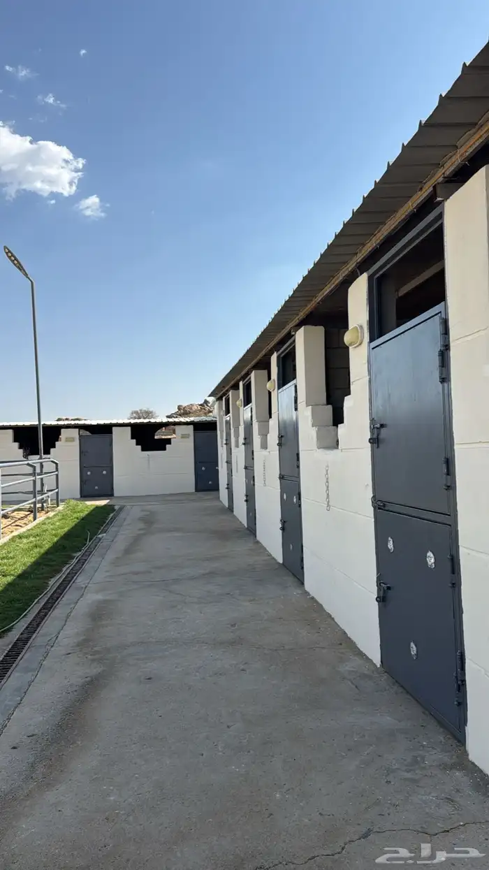 مربط السحابه 5