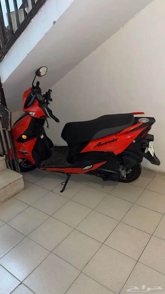 عجيب سزوكي 2023 1