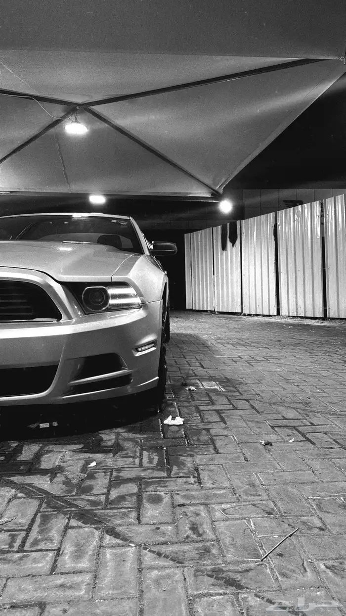 موستنق 2014 V6 قير عادي 7