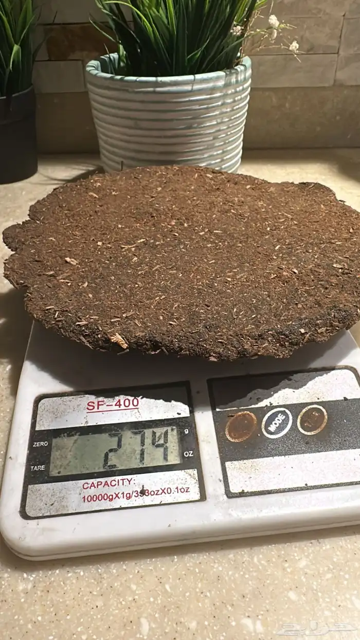 بخور حساوي قديم 0