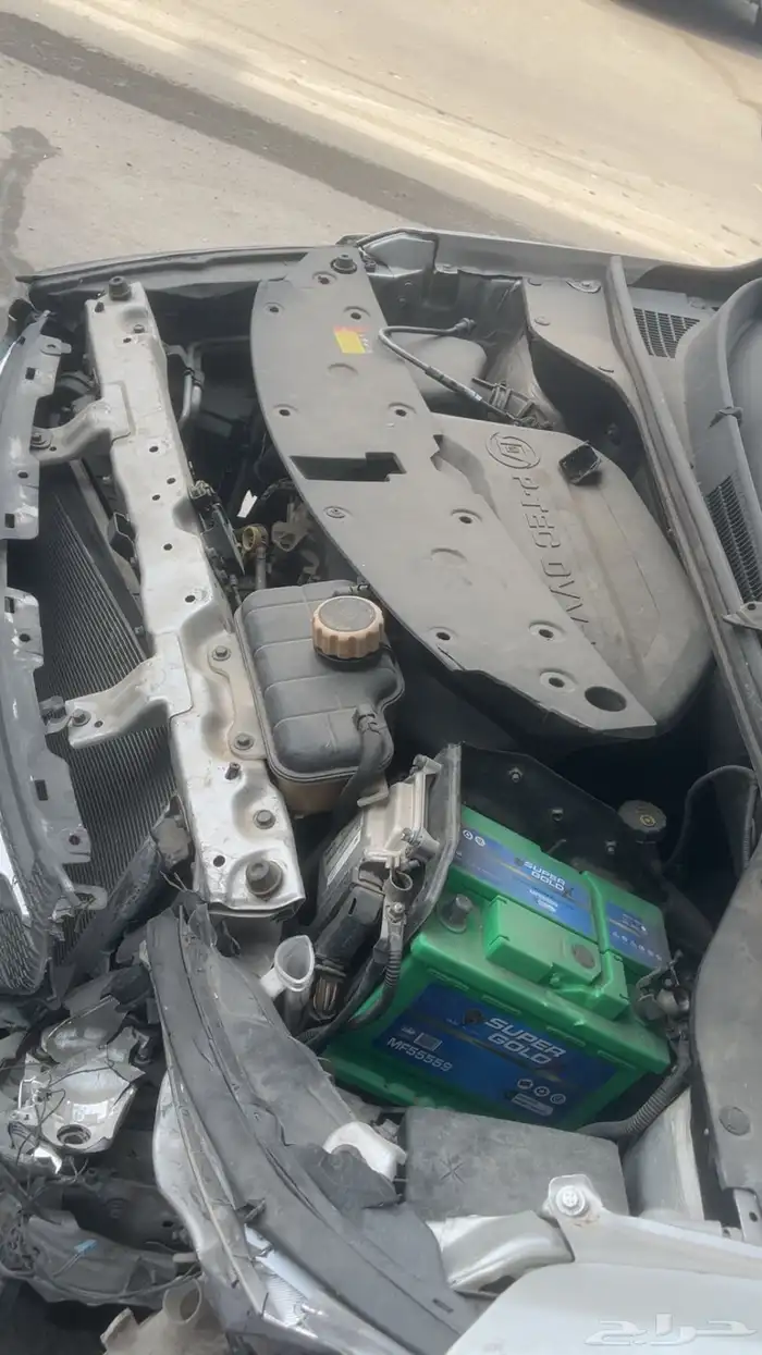 شفرلية قروف للبيع 12