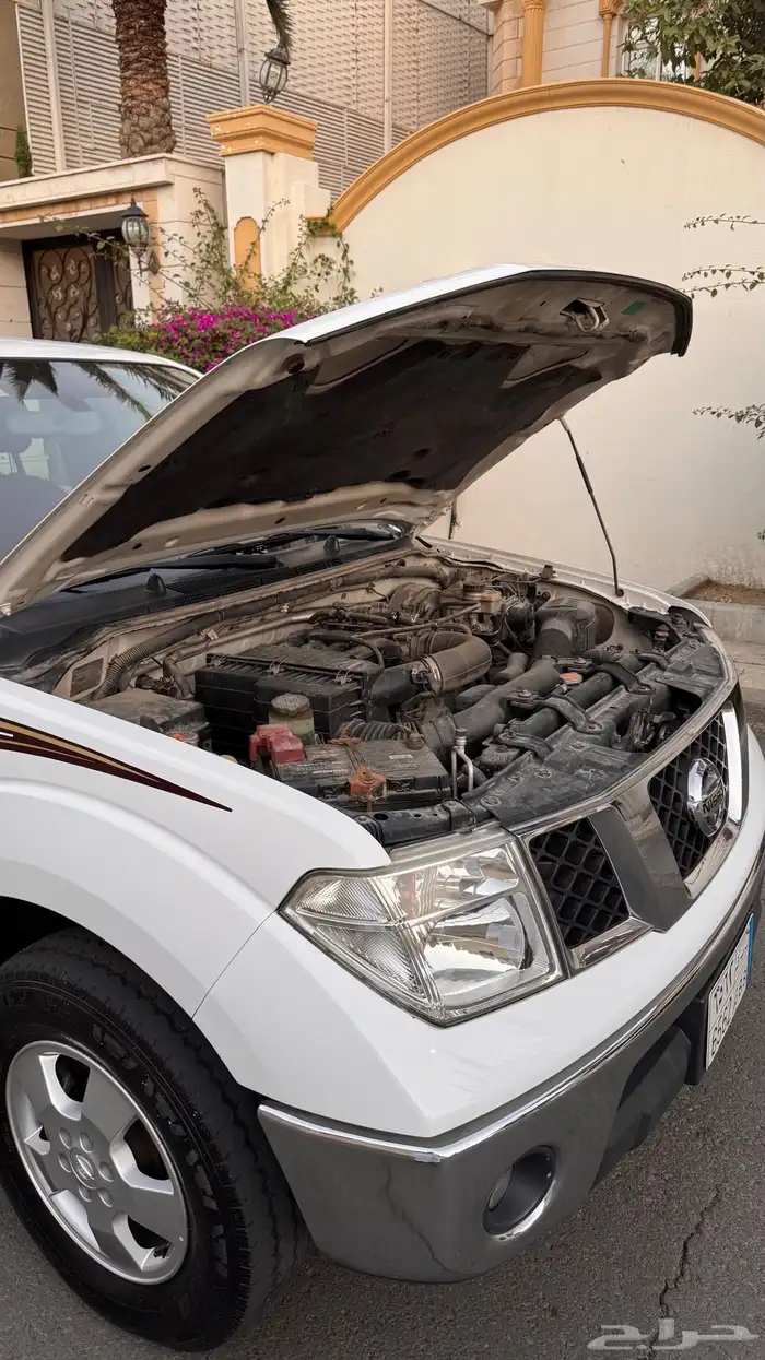 وانيت نافارا 2015 قمة النظافة 10