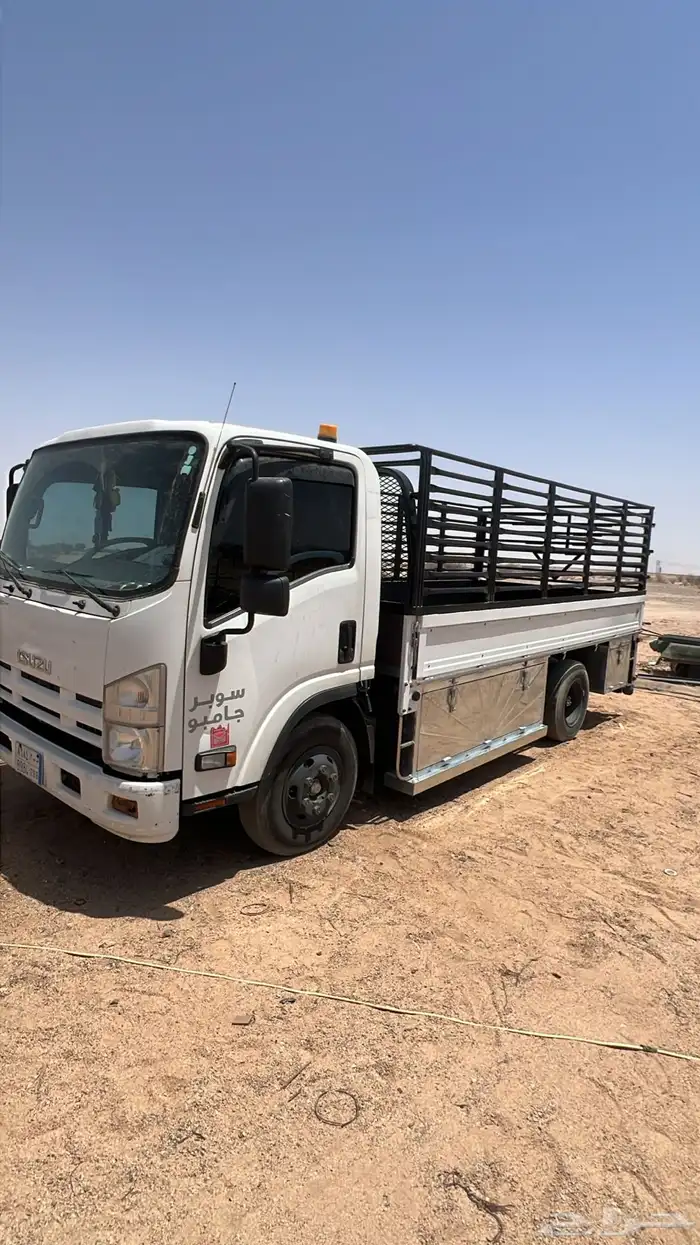 دينه ايسوزو 2016 وارد باخشب 15