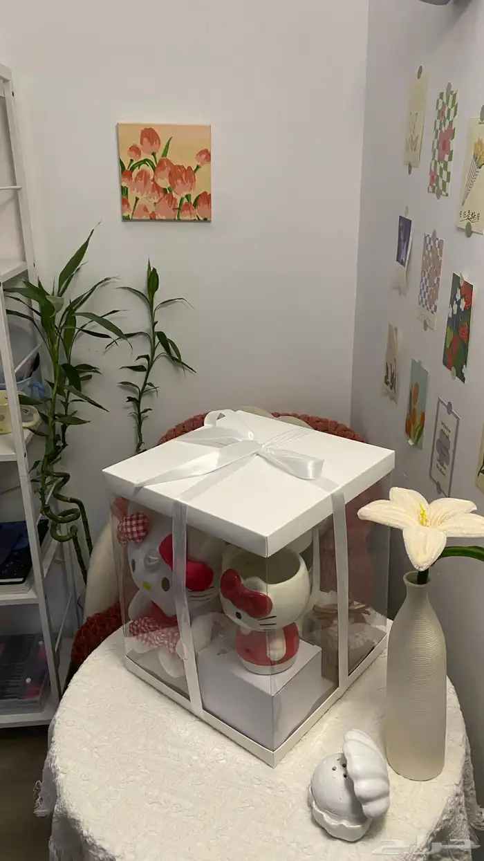 بوكس الشتاء 4