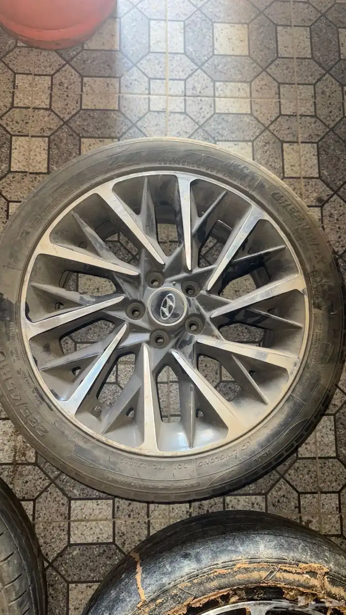 جنوط للبيع 4