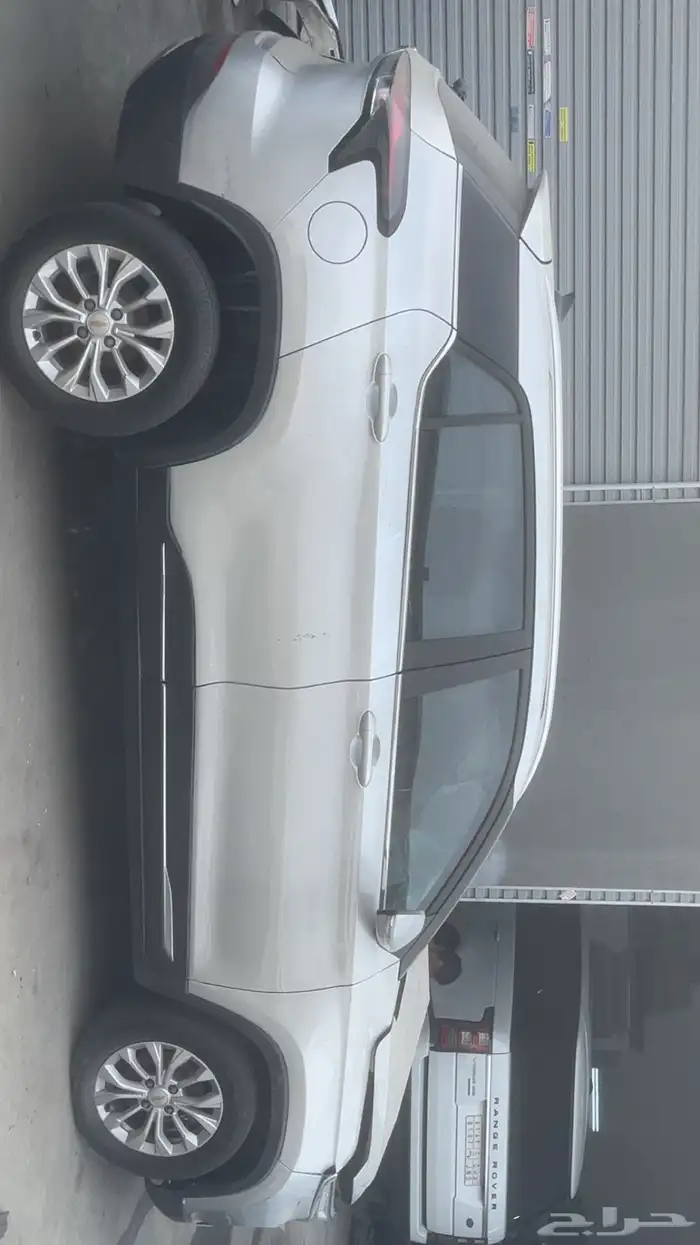 شفرلية قروف للبيع 16