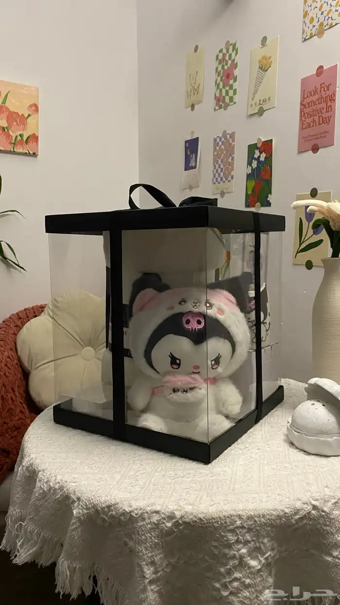 بوكس الشتاء 2