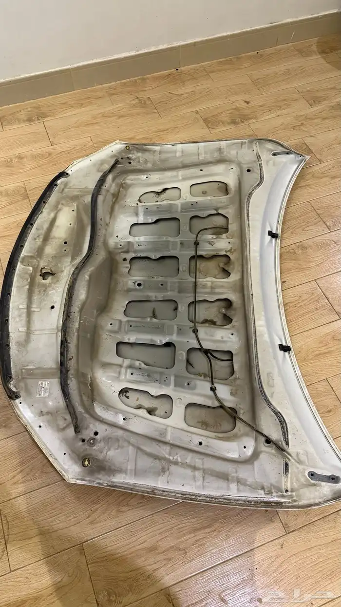 كبوت اوريون 0