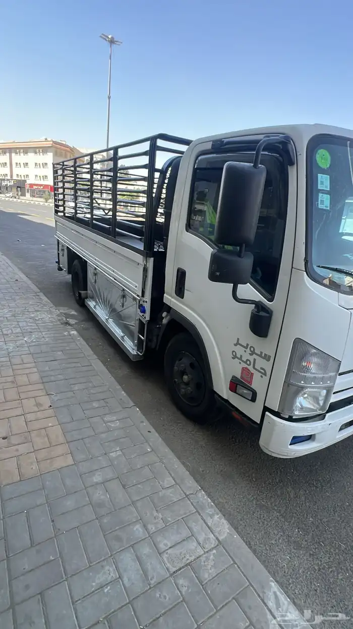 دينه ايسوزو 2016 وارد باخشب 13