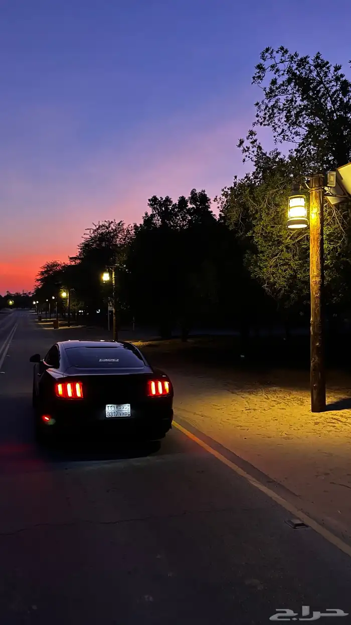 موستنق v8 2016 4