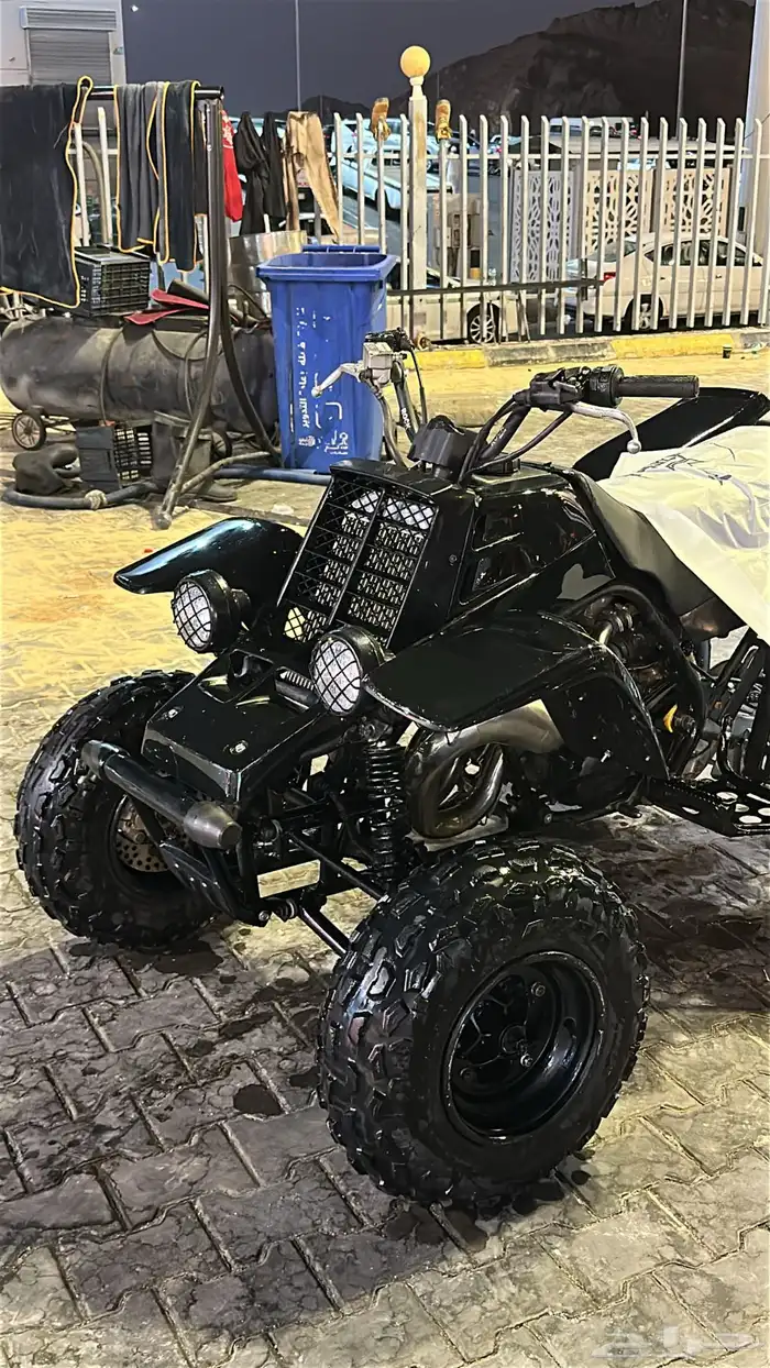 بانشي اسود 2005 2