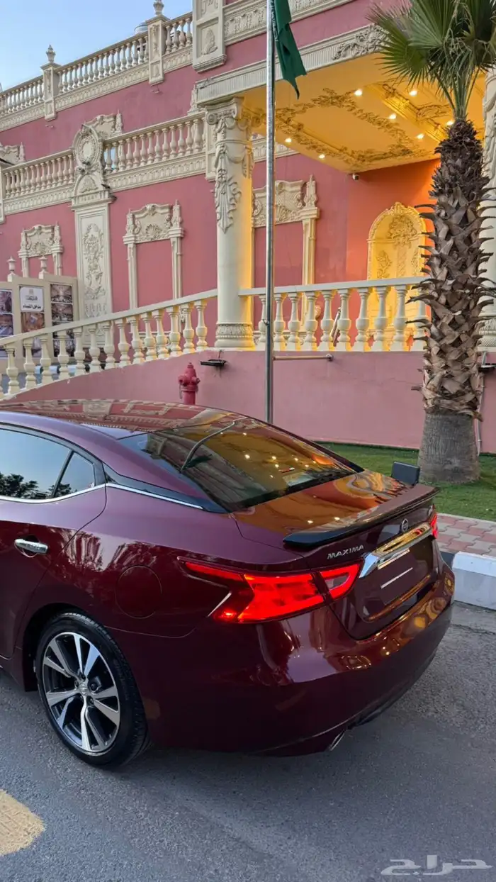 مكسيما ( شرط - تم البيع ) 0